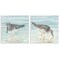 Stupell Industries Piping Plover Shoreline Birds 2 pc Wall Plaque Art Set Design by Julie DeRice